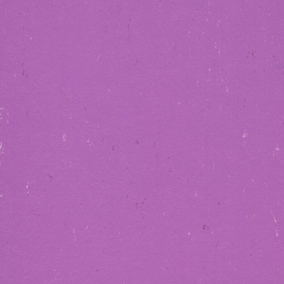 1551_7012_linoleum-colorette-pur-137-110 1551_7012_linoleum-colorette-pur-137-110