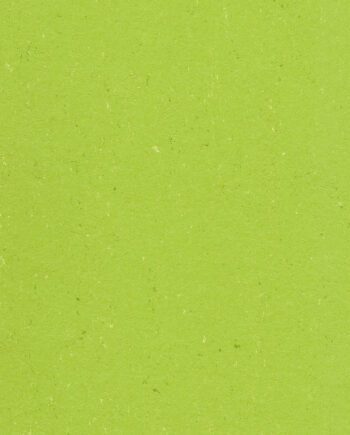 Linoleumgolv Gerflor Colorette 0132 Spicy Green