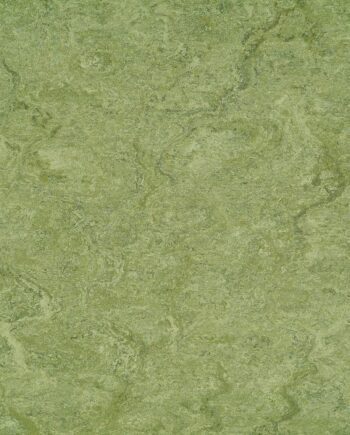 Linoleumgolv för kök Gerflor Marmorette 0100 Frog Green