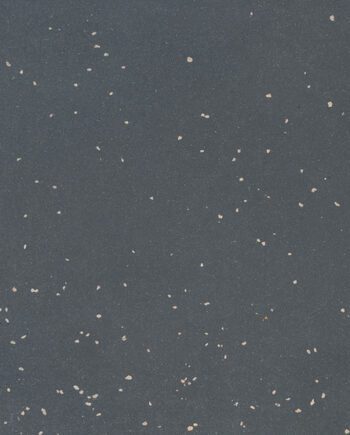 Linoleumgolv Gerflor Lino Art Metallic 0083 Alumino Light Grey