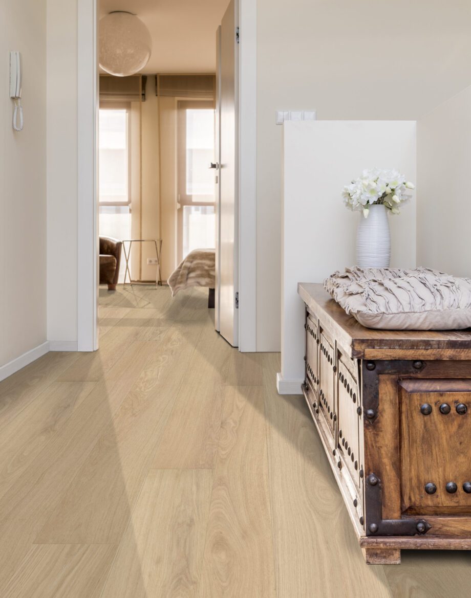 Elegant house hallway with commode