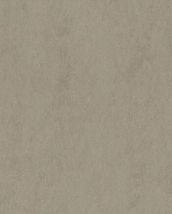 Linoleumgolv Gerflor Lino Art Urban 0550 Beton Soft Grey