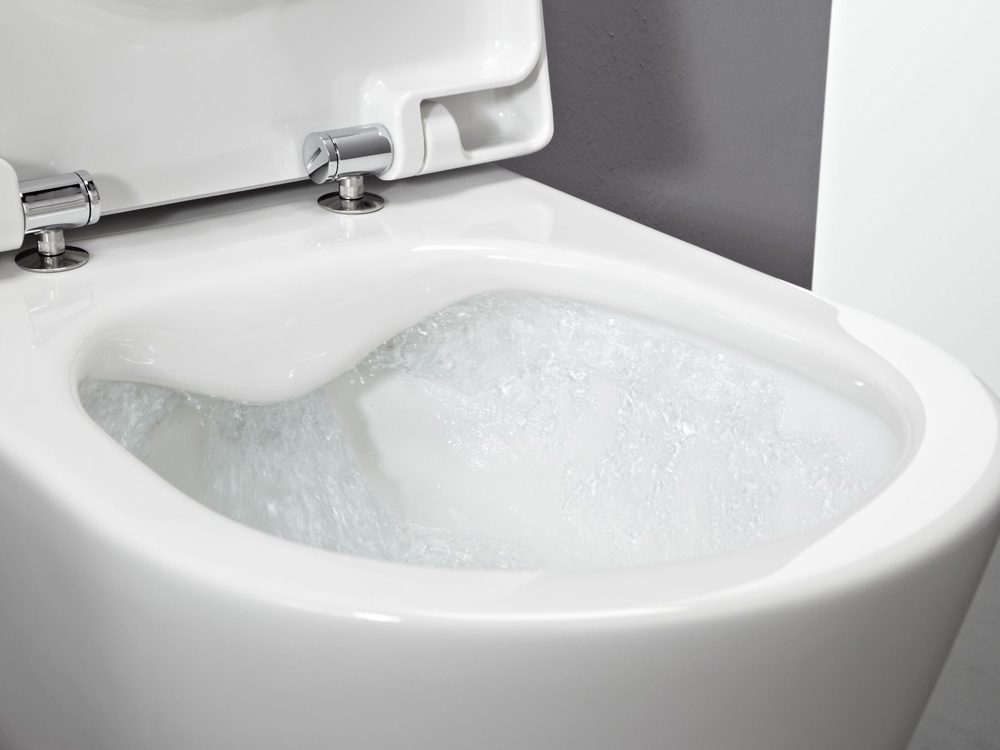 Toalettstol Laufen Pro – rimless, vägghängd, mjukstängande sits