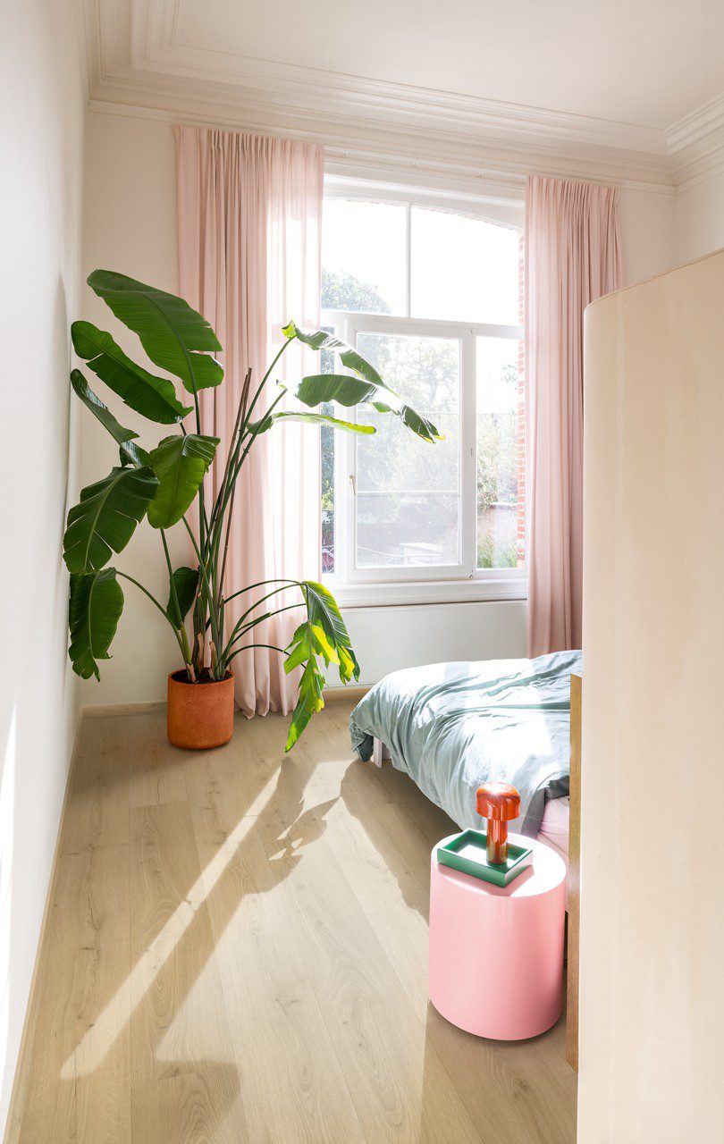 Klick Vinylboden Quick Step Bloom Brushed Oak Beige im Schlafzimmer verlegt, mit Palme, rosa Sitzhocker, rosa Vorhängen und Bett.