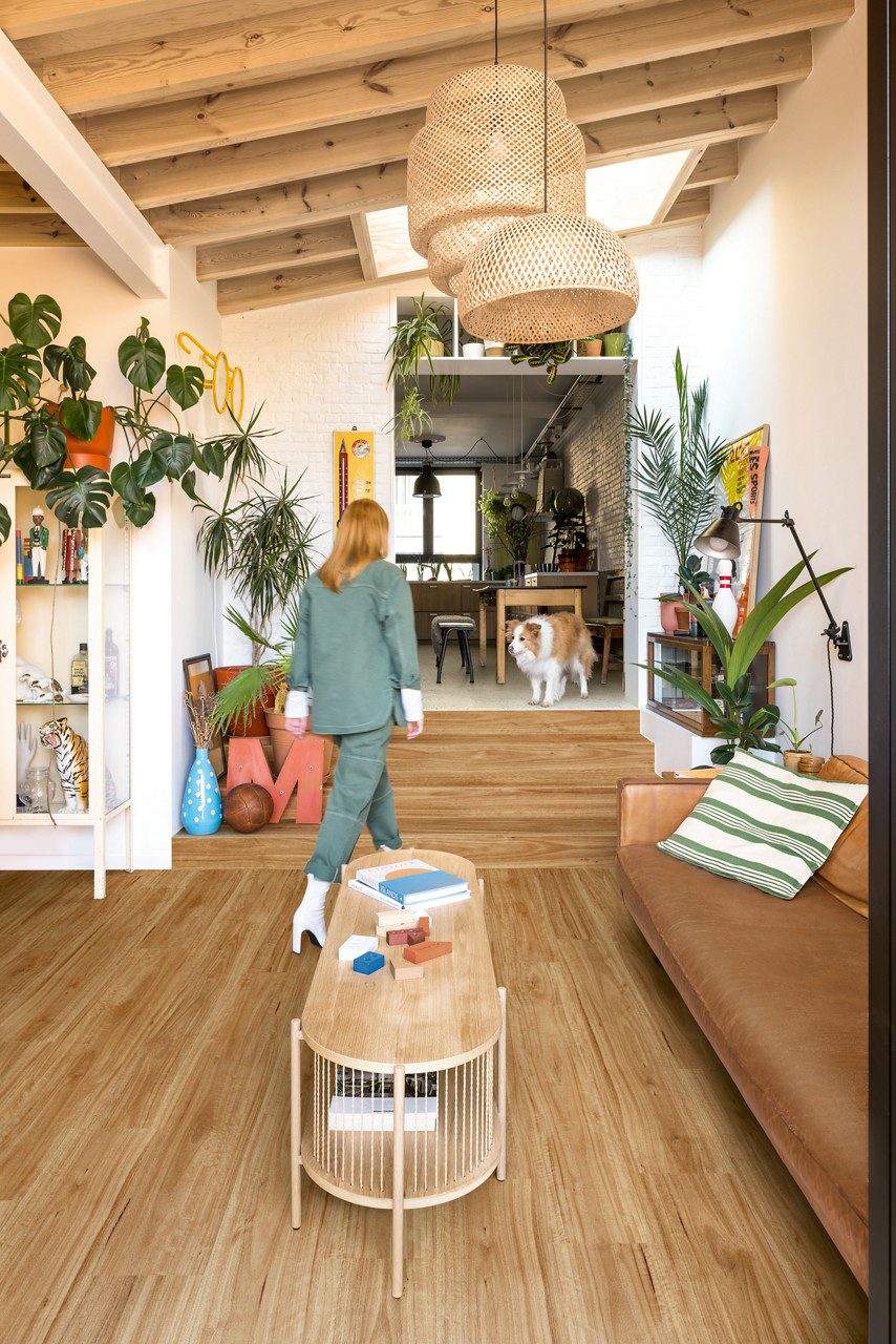 Vinyylilattia Quick Step Bloom Urban Blackbutt asennettuna olohuoneen lattialle ja huoneiden välisille porrasaskelmille, nainen kävelee portaita ylös ja koira odottaa häntä ylhäällä.
