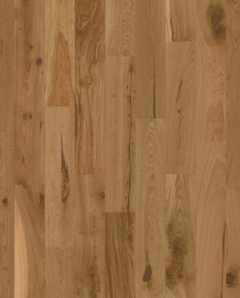Parkett Bauwerk Casapark Budget Cut tamm 56 harjatud ja õlivahatatud pinnaga on naturaalse tamme tooniga ja tugevalt rustikaalse oksliku sorteeringuga.