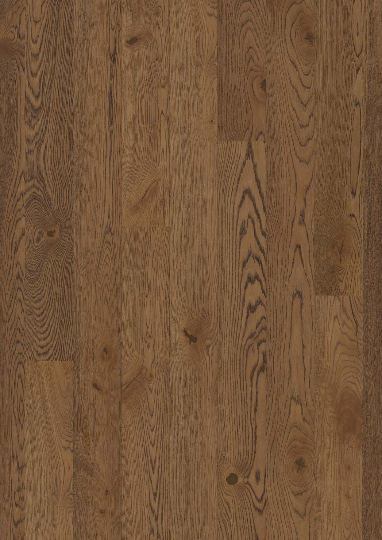 Parketti Bauwerk Boen Casapark Oak 46 Vivo Tartufo (138 mm), harjattu ja öljyvahattu, asennettuna kodin lattialle – lämmin ruskean sävyinen (Tartufo) tammi ja rustiikkinen sorteerus (oksakohtia sekä selkeää sävyvaihtelua). Harjattu pinta korostaa puun eläväistä tekstuuria.