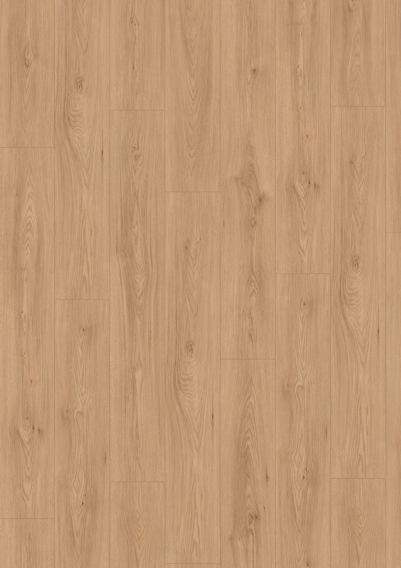Laminatgolv Egger naturell Avio-ask, Aqua, 8 mm