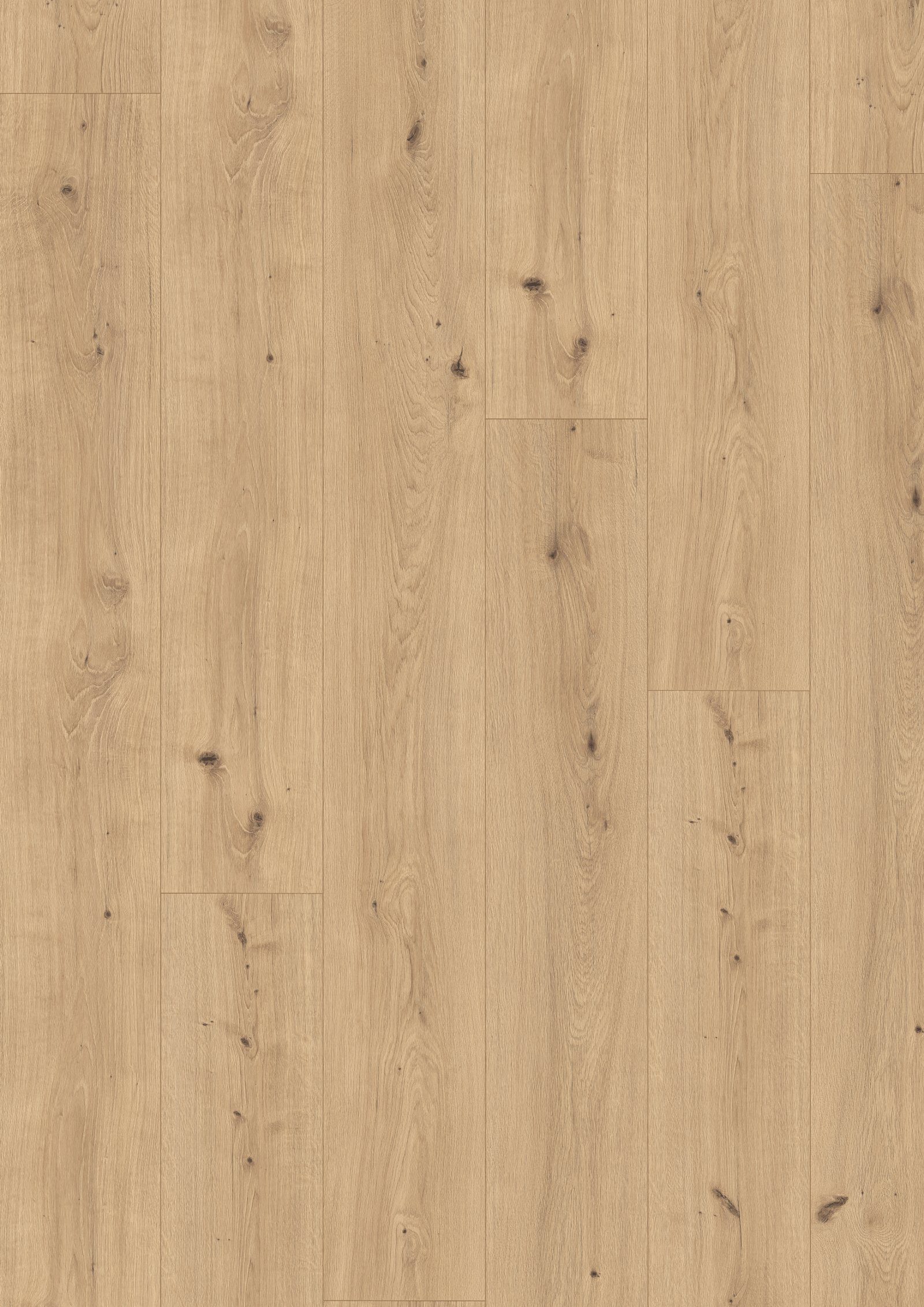 Laminatgolv Egger naturell Cadiz-ek, Aqua, lång planka 10 mm