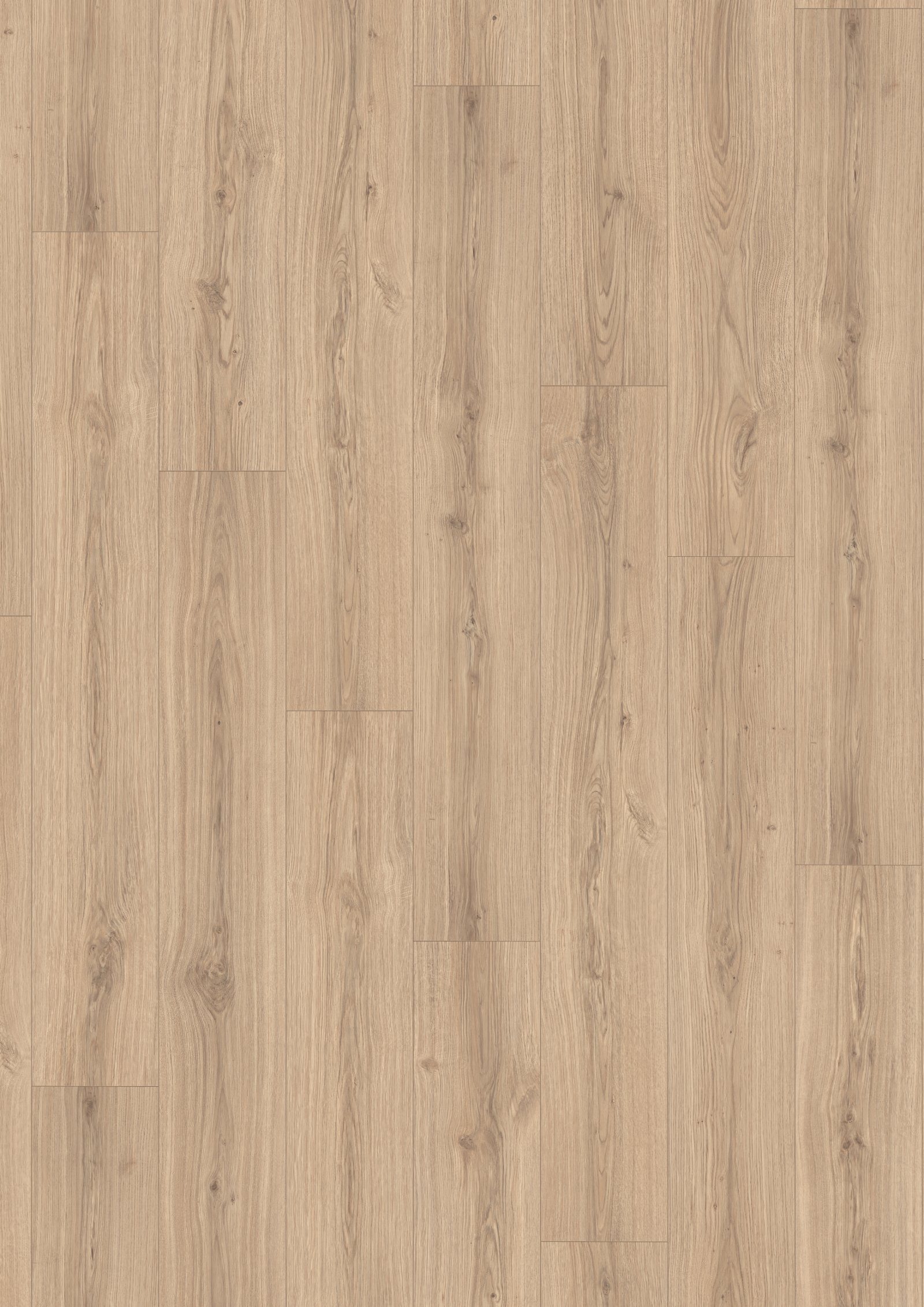 Laminatgolv Egger naturell Padua-ek, Aqua, 8 mm