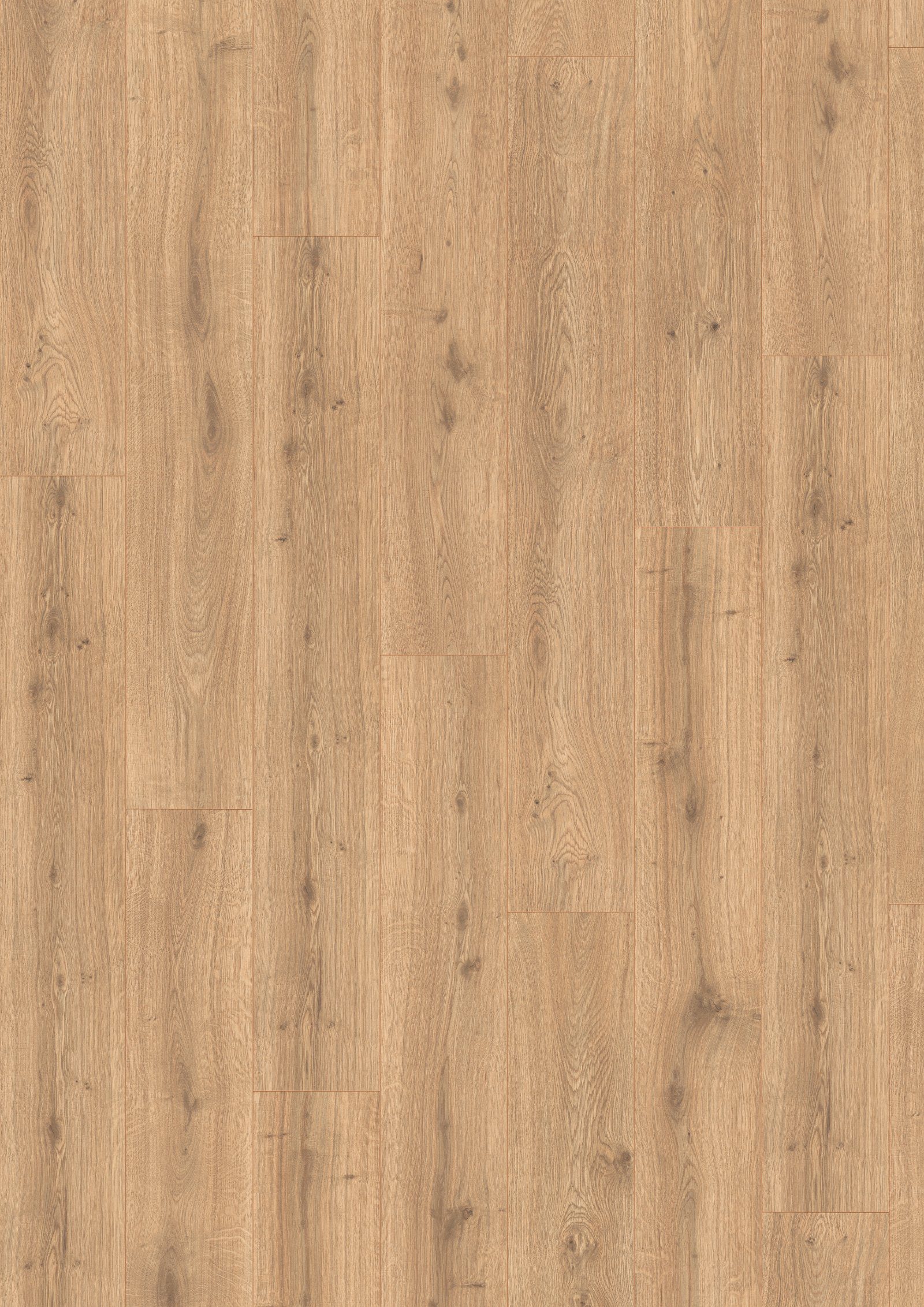Laminatgolv Egger naturell Predaia-ek, Aqua, 10 mm