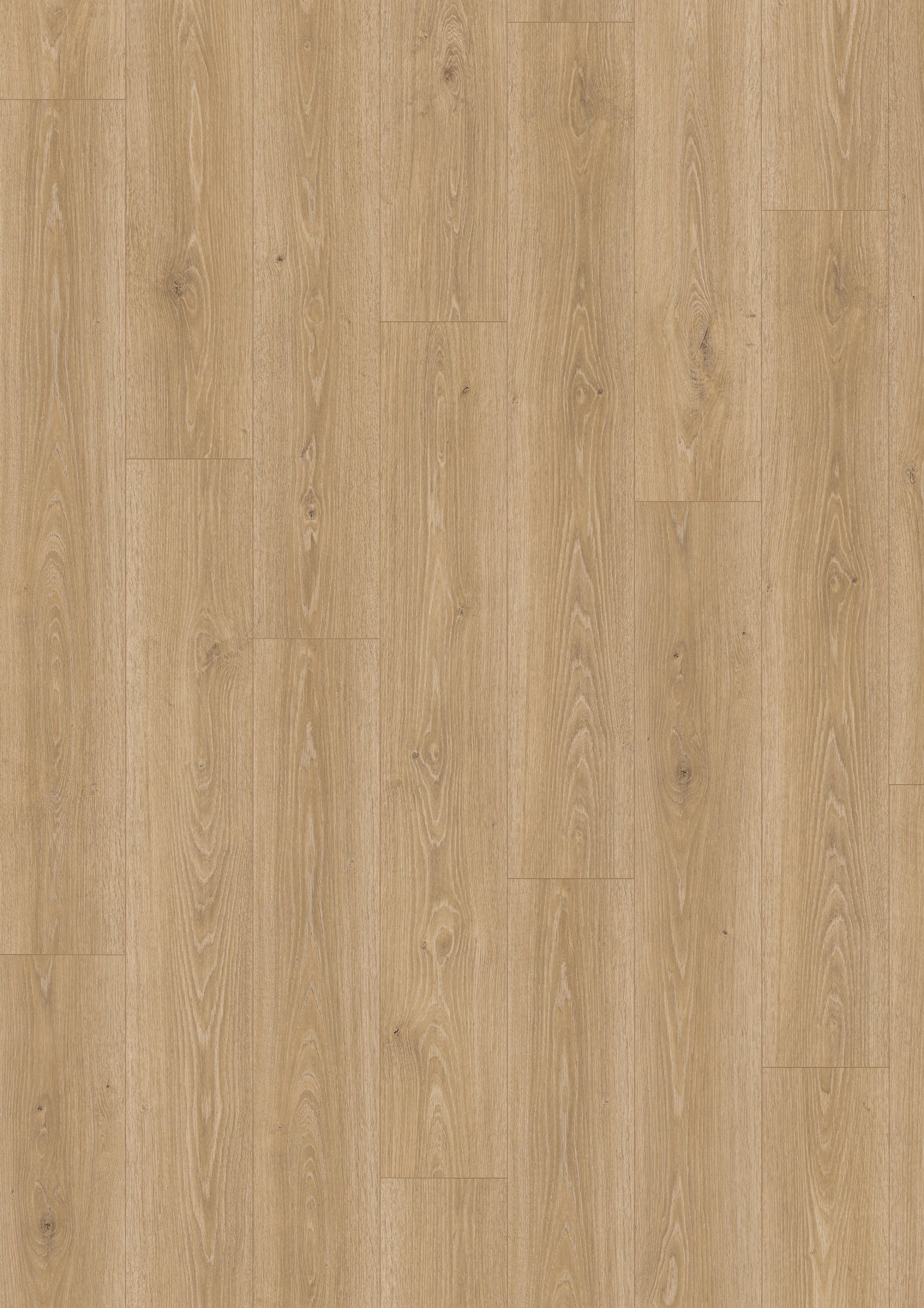Laminatgolv Egger naturell Treviso-ek, Aqua, 8 mm