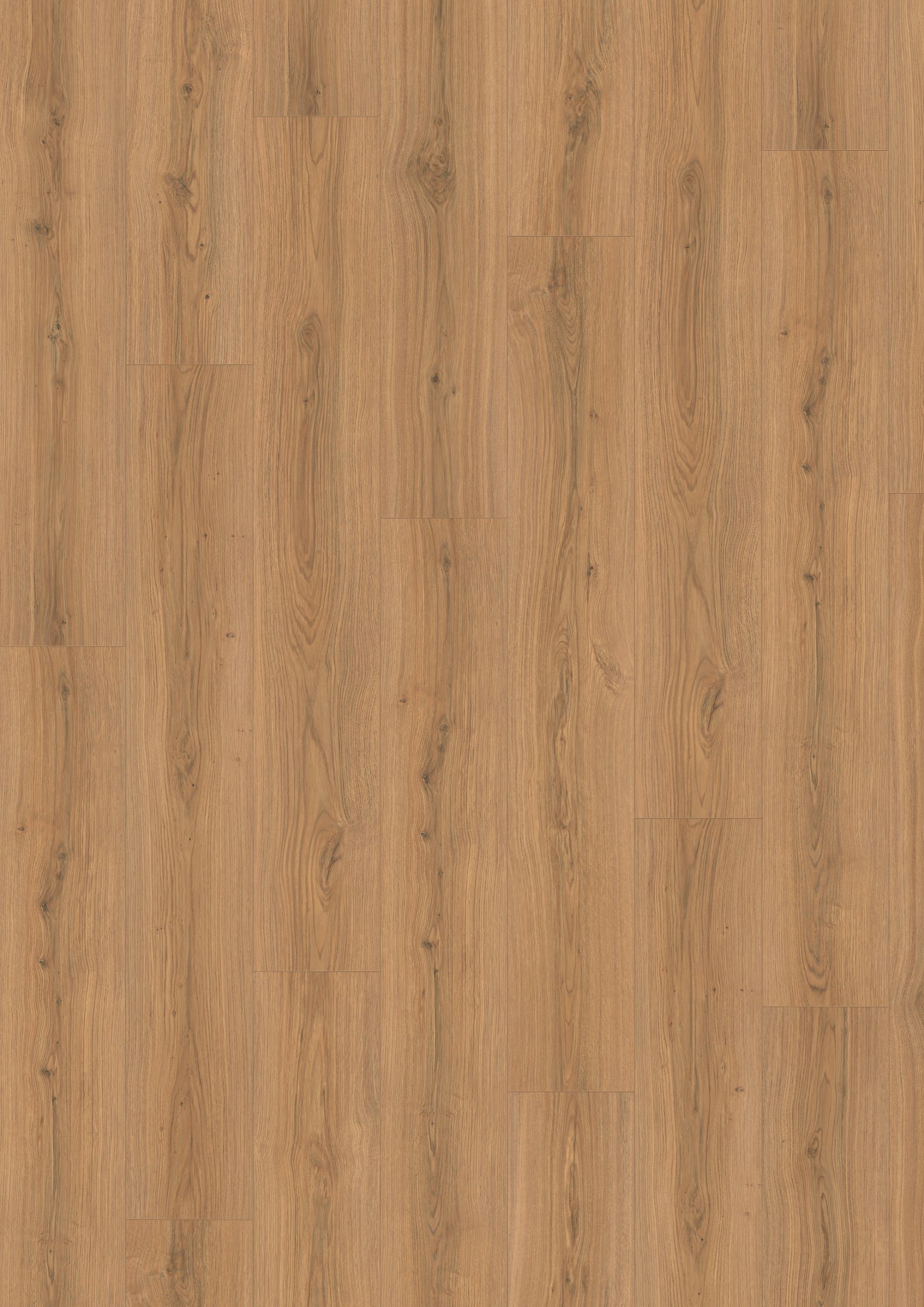 Laminatgolv Egger honungsfärgad Padua-ek, Aqua+, 8 mm