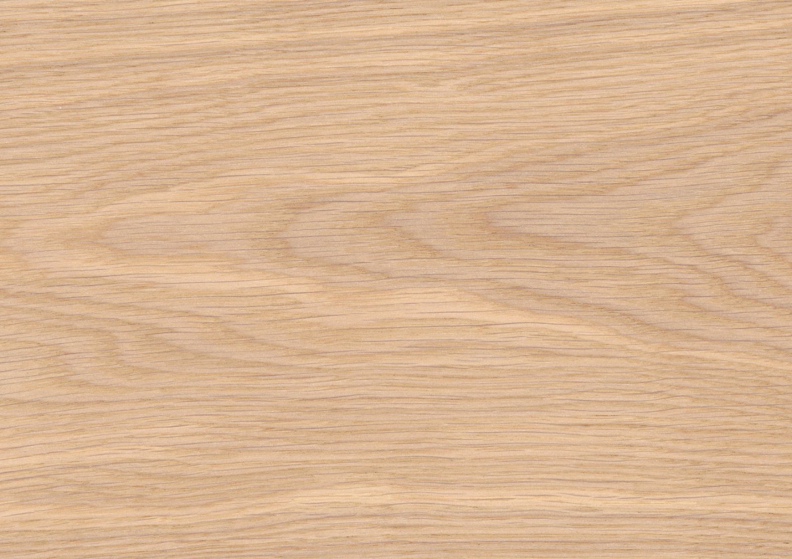 Tammeparkett Thede & Witte Euro XL natuur, harjatud, valgeõlitatud – detail