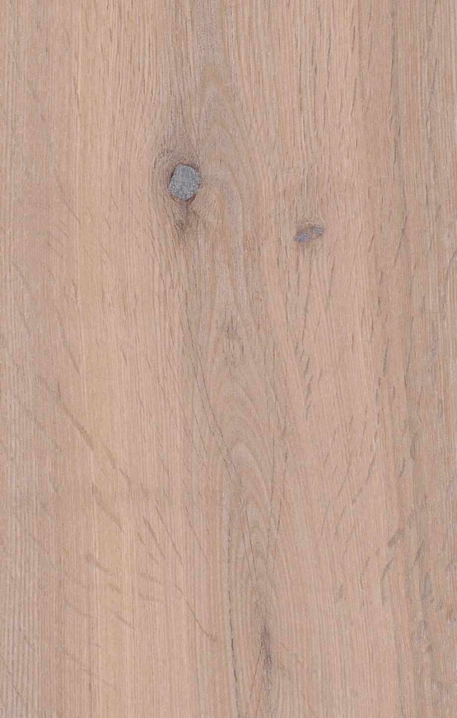 thede-witte-53lhoescl15-ei55-detail thede-witte-53lhoescl15-ei55-detail
