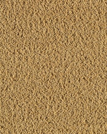 Heltäckningsmatta Creatuft Ceres 3090 Gold – ull