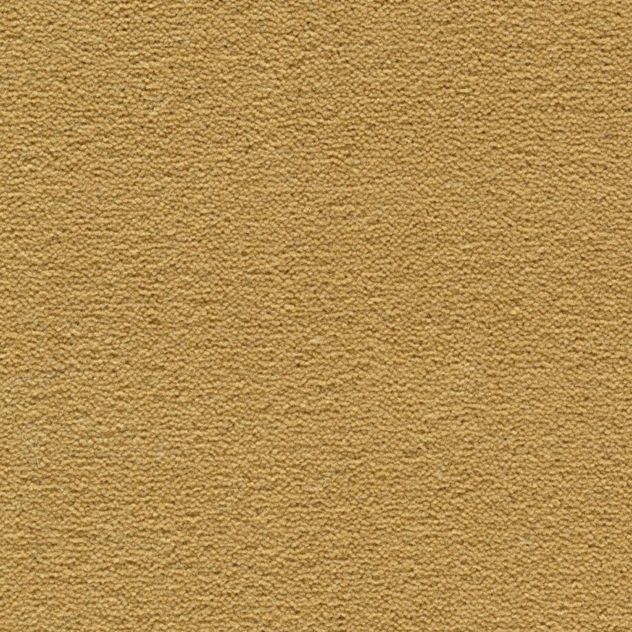 Heltäckningsmatta Creatuft Sheba 1090 Gold – ull