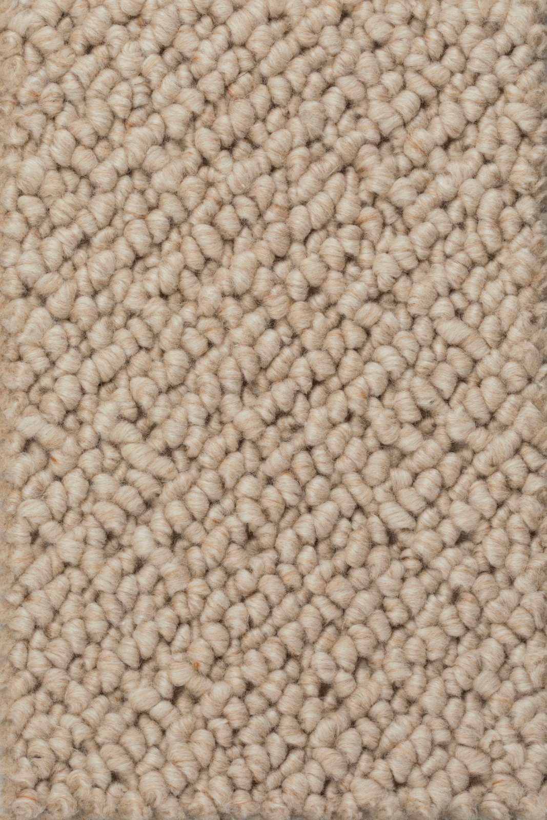 Heltäckningsmatta Creatuft Titan 5 Dune – ull