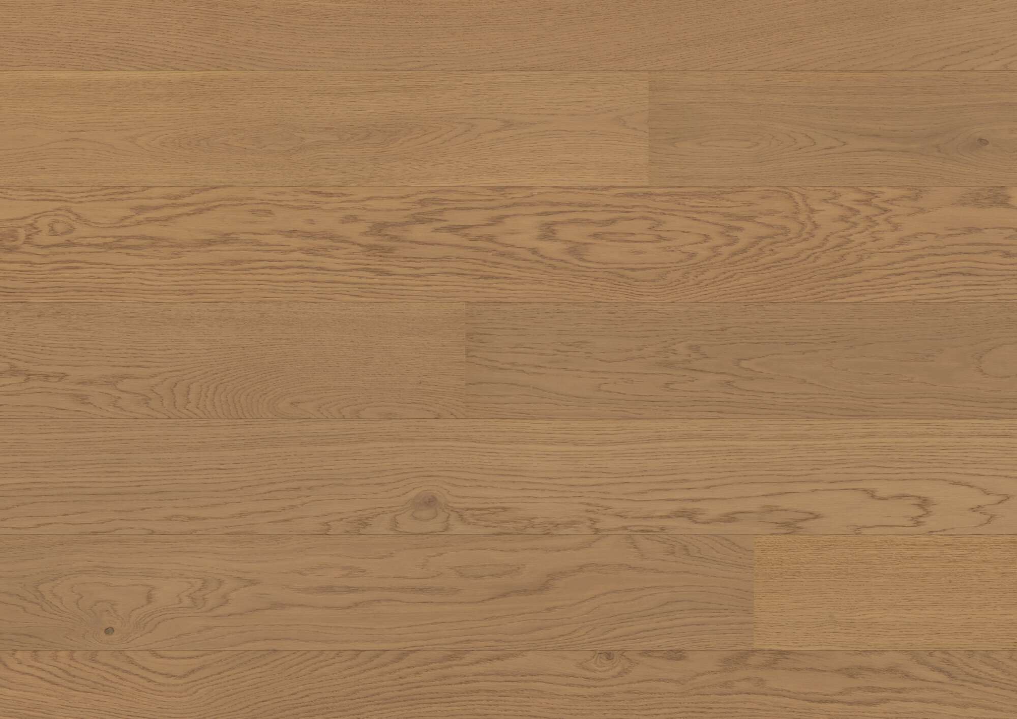 Laudparkett Bauwerk Casapark tamm 24 Mandorla B-Protect® ultramatt lakk 181mm