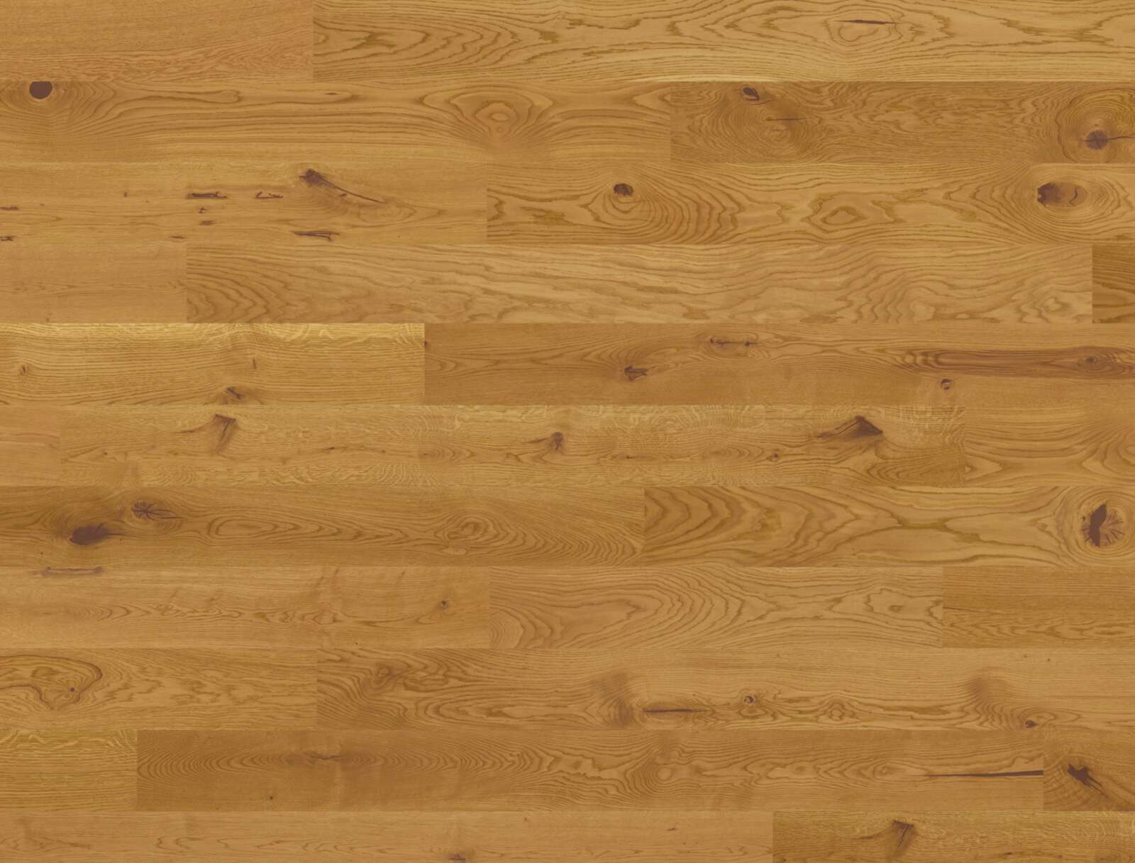 Ekgolv Bauwerk Studiopark Mandorla 46 B-Protect borstad