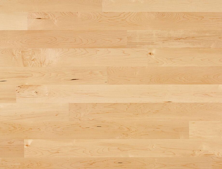 Parkettgolv Bauwerk Cleverpark 1250 kanadensisk lönn 14 mattlackad slipad – planka Parkettgolv Bauwerk Cleverpark 1250 kanadensisk lönn 14 mattlackad slipad