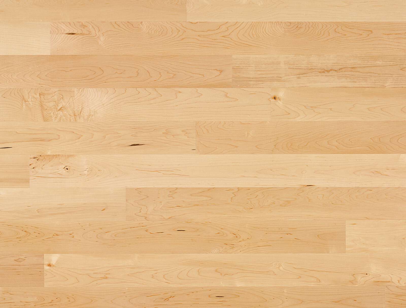 Parkettgolv Bauwerk Cleverpark 1250 kanadensisk lönn 14 mattlackad slipad