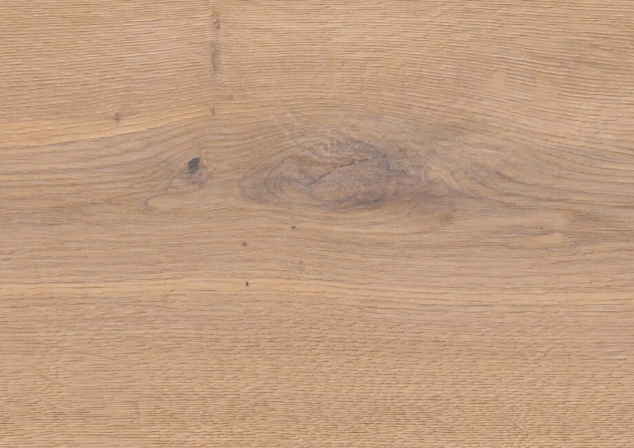 thede-witte-51lhoelxl15-ei60-detail
