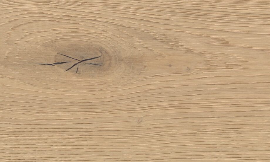 thede-witte-53lhncls15-ei50-detail